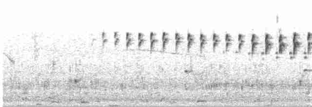 Малабарская долгохвостка - ML618496164