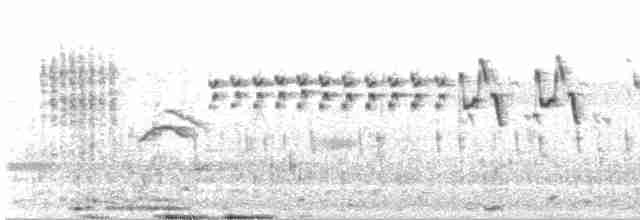 Малабарская долгохвостка - ML618496172