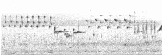 Малабарская долгохвостка - ML618496173