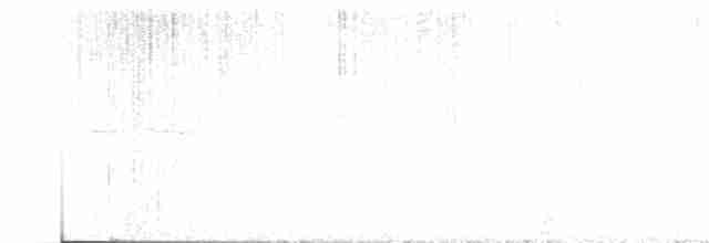 Горличка білолоба - ML618496277