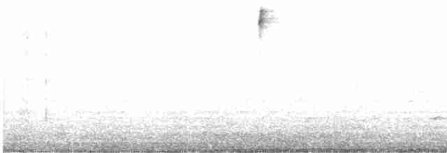 Percefleur rouilleux - ML618496357