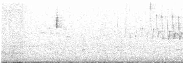 Пісняр-лісовик жовтогузий (підвид coronata x auduboni) - ML618496437