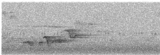 Дрізд-короткодзьоб Cвенсона - ML618496651
