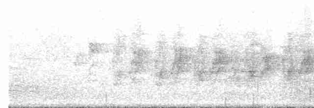 Hirondelle rustique (erythrogaster) - ML618496953