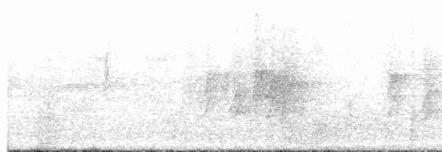 Деревенская ласточка (erythrogaster) - ML618496972