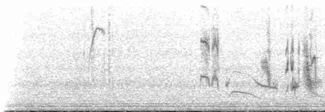 Western Orphean Warbler - ML618497892