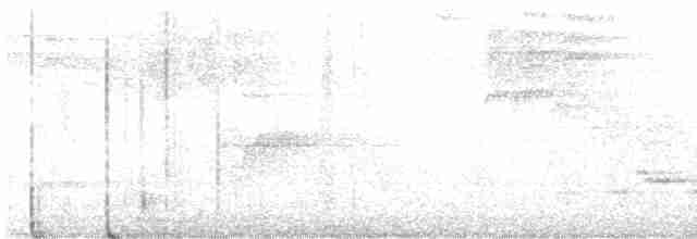 Дрізд-короткодзьоб Cвенсона - ML618498088