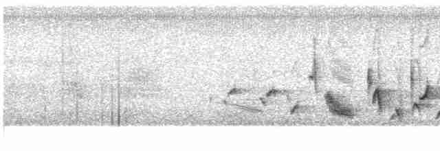 Oriole des vergers - ML618498147