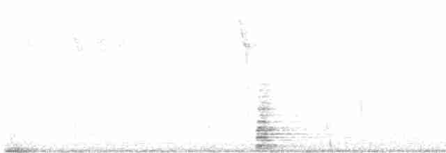 Дрізд-короткодзьоб Cвенсона - ML618498247