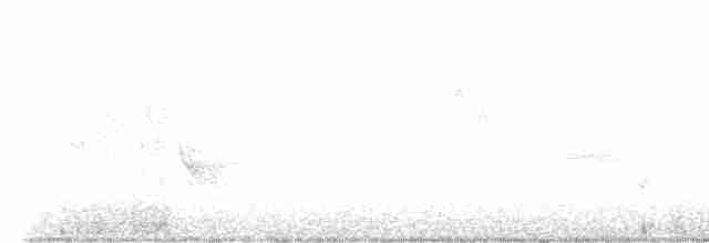 Black-throated Gray Warbler - ML618498334