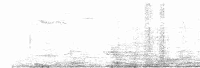 黃腰柳鶯 - ML618498523