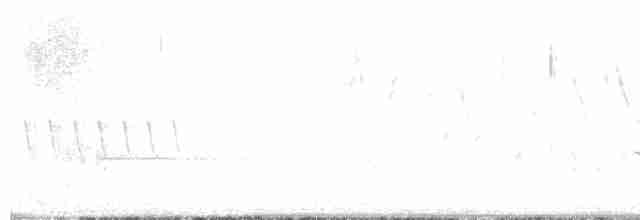 Paruline à calotte noire - ML618500097