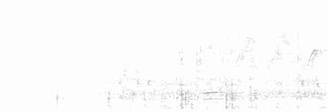 Атласная нектарница - ML618500622
