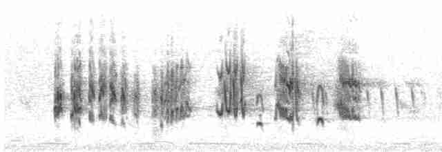 Woodchat Shrike - ML618500678