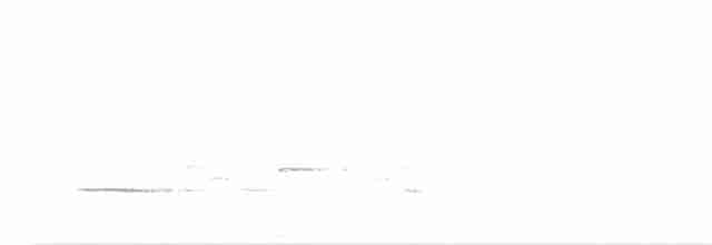 Дрізд-короткодзьоб плямистоволий - ML618501330