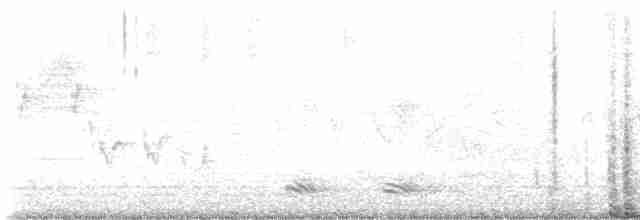 Cuervo Pescador - ML618501606