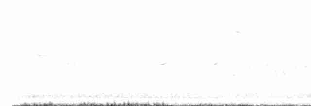 Common Nightingale - ML618502814