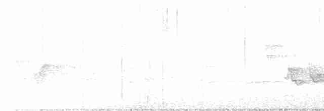 Reinita Protonotaria - ML618504893