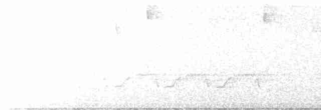 lesňáček modrokřídlý - ML618504954