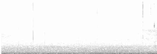 Blackpoll Warbler - ML618505053