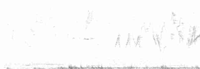 svarthodetykknebb - ML618507526
