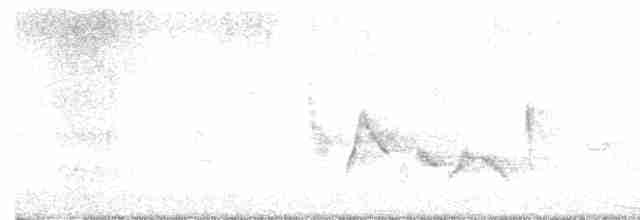 White-eyed Vireo - ML618509972