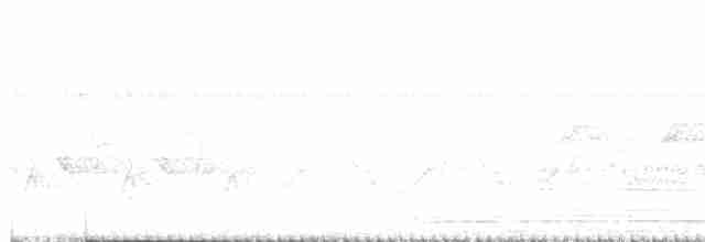 tyranovec zelenavý - ML618511114