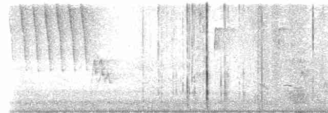 Чернокрылая пиранга - ML618511174