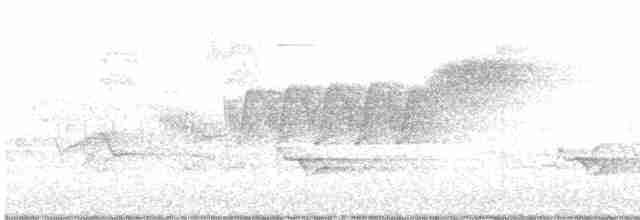 Cerulean Warbler - ML618511232