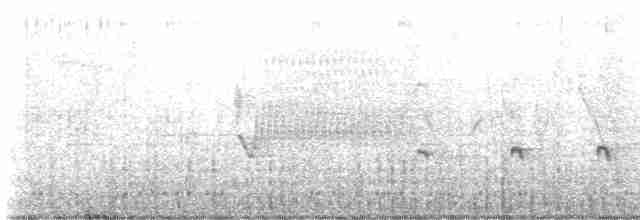 Chaparralgrasmücke - ML618512251