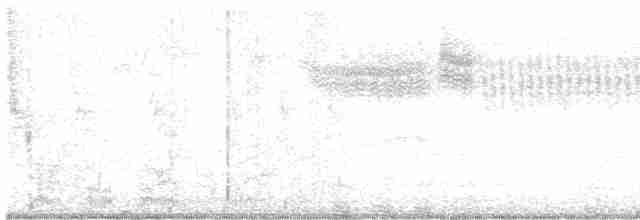Голубокрылая червеедка - ML618512805