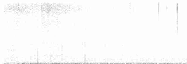 svarthodetykknebb - ML618514508