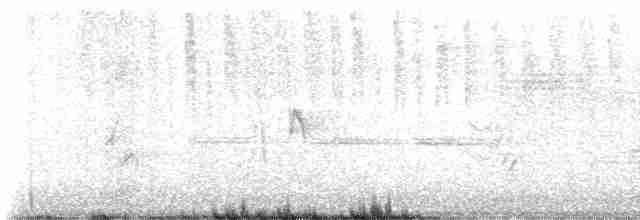 Sperlingsvogel, unbestimmt - ML618514608