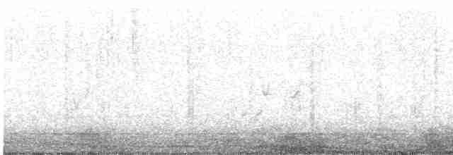 Oriole masqué (groupe nelsoni) - ML618515266