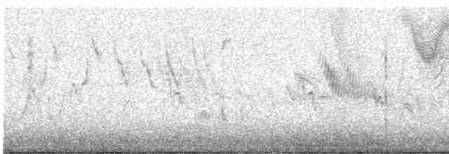 Малая вильсония - ML618515299