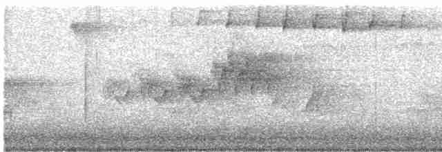 Cerulean Warbler - ML618516196