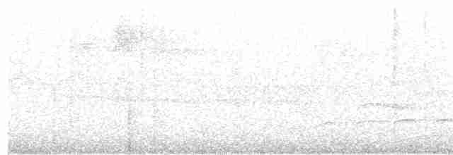 Батарито плямистоволий - ML618516458