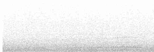 Mérulaxe à poitrine blanche - ML618516474
