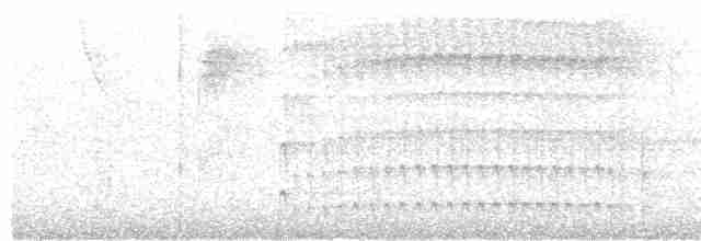 Тиран-інка буроголовий - ML618516602