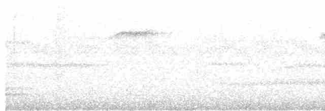 White-necked Thrush - ML618516635