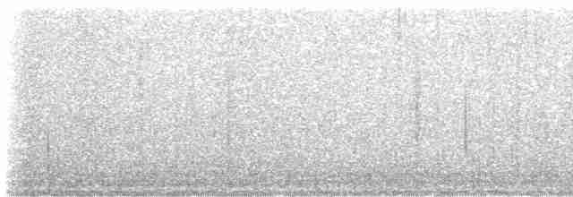 Cerulean Warbler - ML618516850