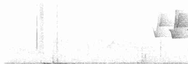Reinita Protonotaria - ML618517350
