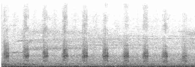 Common Merganser (North American) - ML618519881