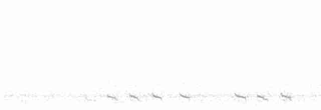 Black-billed Cuckoo - ML618520107