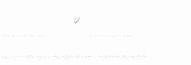 Малая воробьиная овсянка - ML618520157