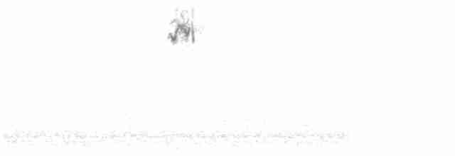 Кузнечиковая овсянка-барсучок - ML618520279