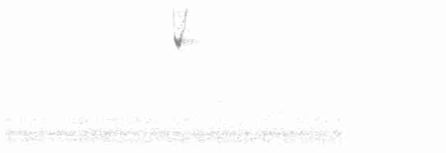 Карнатка білоброва - ML618520282