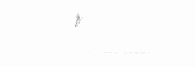 Дроздовый певун - ML618520300