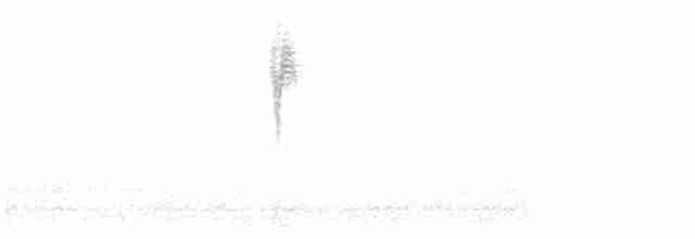 lesňáček černobílý - ML618520303
