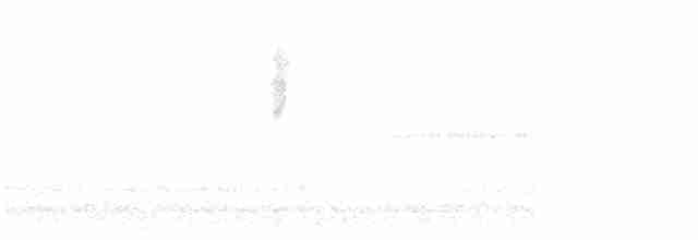 Common Yellowthroat - ML618520305